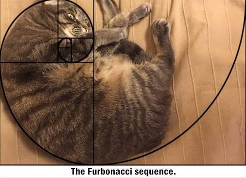 the furbonacce sequence