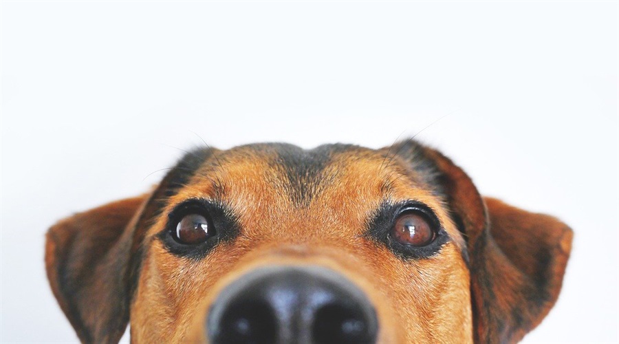 I concluded the best option for me, was to jump in at the deep end and go for an ITT training course. 