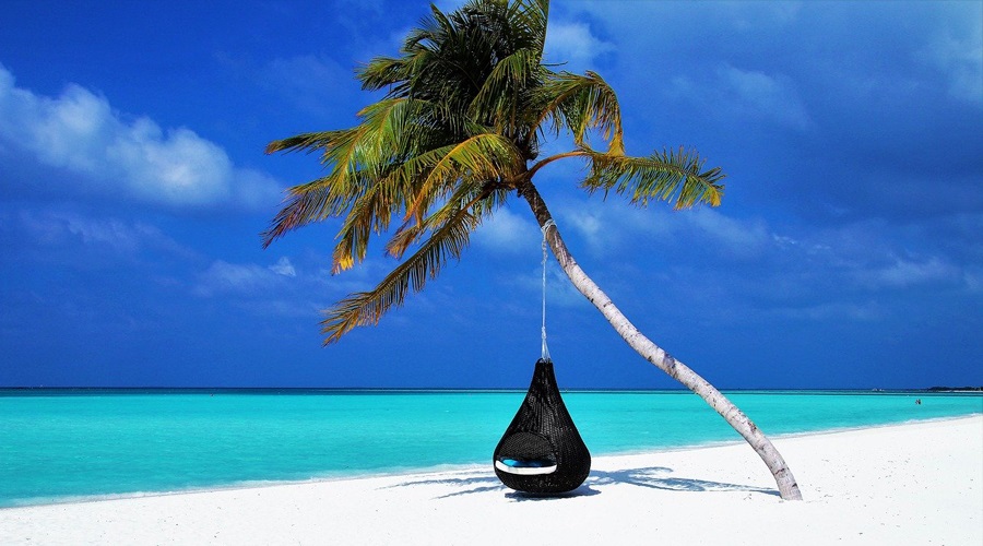  I have had the opportunity to meet new people and make new friends...