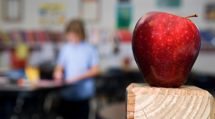 I realised how mathematics is integrated into many areas of life and is an essential part of the growth of our society. I want to show these connections to students and show them how mathematics can be used to build and create amazing things. 