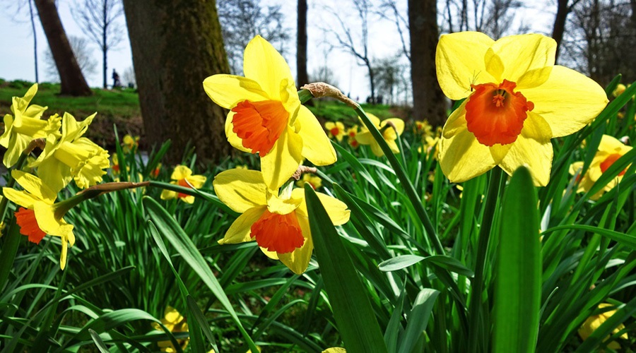 Stuck for ideas? We have some amazing trip ideas for you right here! 