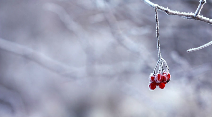 The Maths scholars scheme considers whether winter can make an unenjoyable job seem even worse.