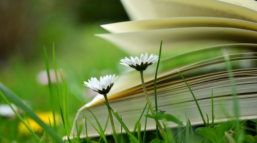 Tom Hughes makes the argument that reading and listening to educational podcasts is an economical way to spend your time during your training year.