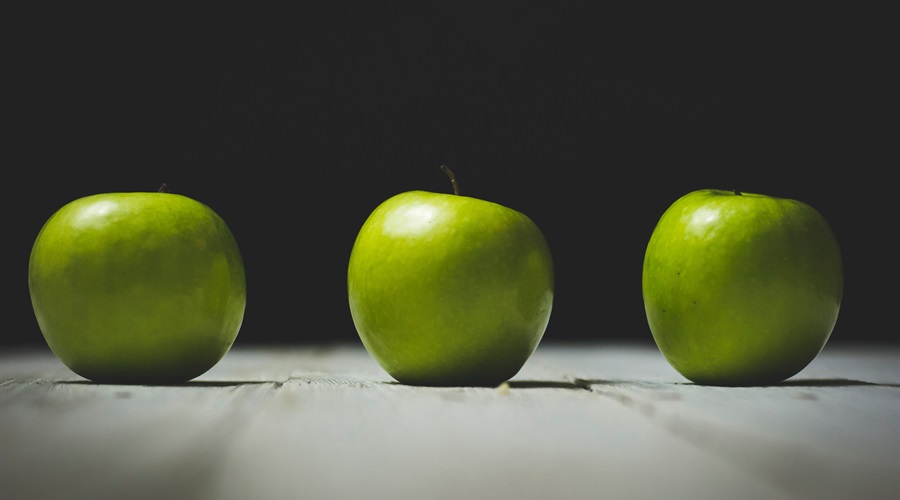 I found that my anxiety quickly developed away into curiosity and excitement for the course.