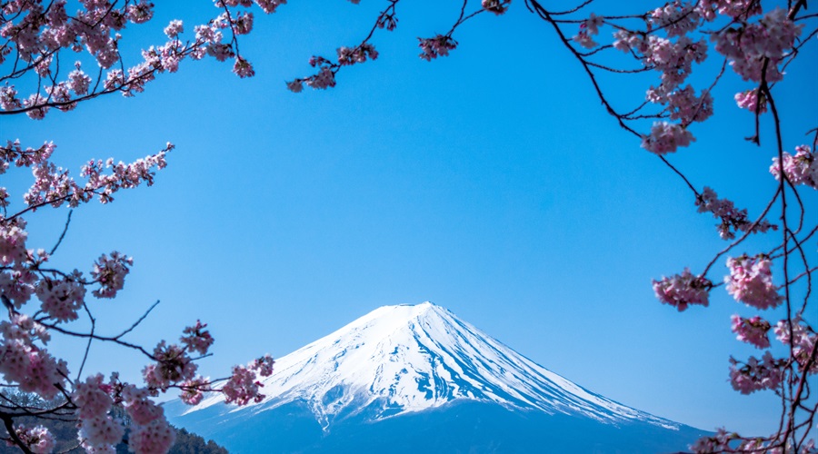 Two exciting lesson study events in December to explore the Japanese approach to problem solving in mathematics, lesson study as a tool to improve teaching and learning, and the role of the Koshi.