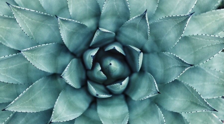 Could you be a Maths scholar? Do you have passion and excitement about mathematical knowledge?