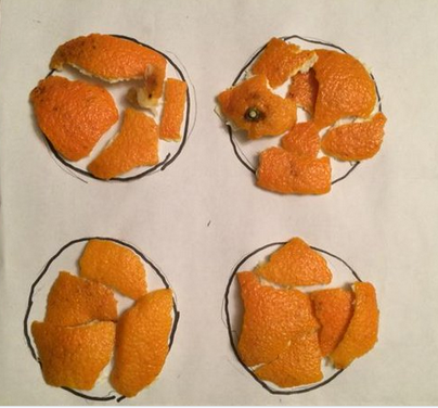 Proof by Clementine: the surface area of a sphere is 4 pi r^2 (trace around widest part of clementine 4 times)